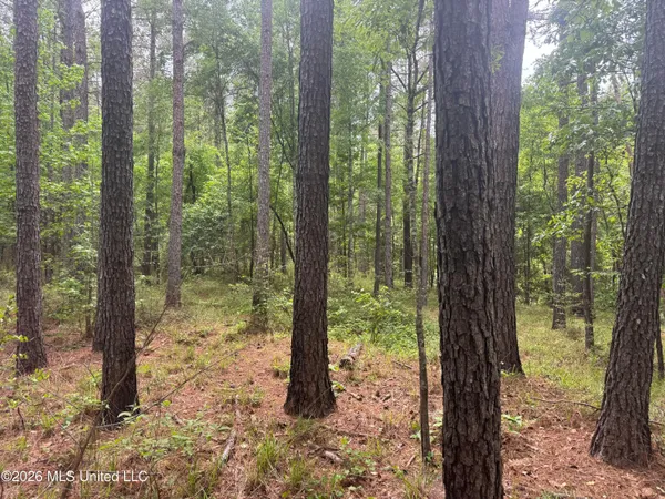 $180,000 | Bushtown Road, Pinola, MS 39149