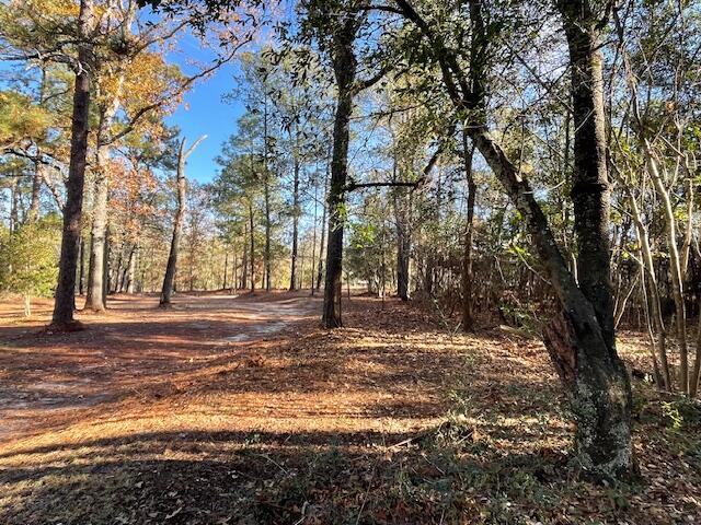 1058 Wright Mills Road Aiken, SC 29801 - Photo 3 of 5