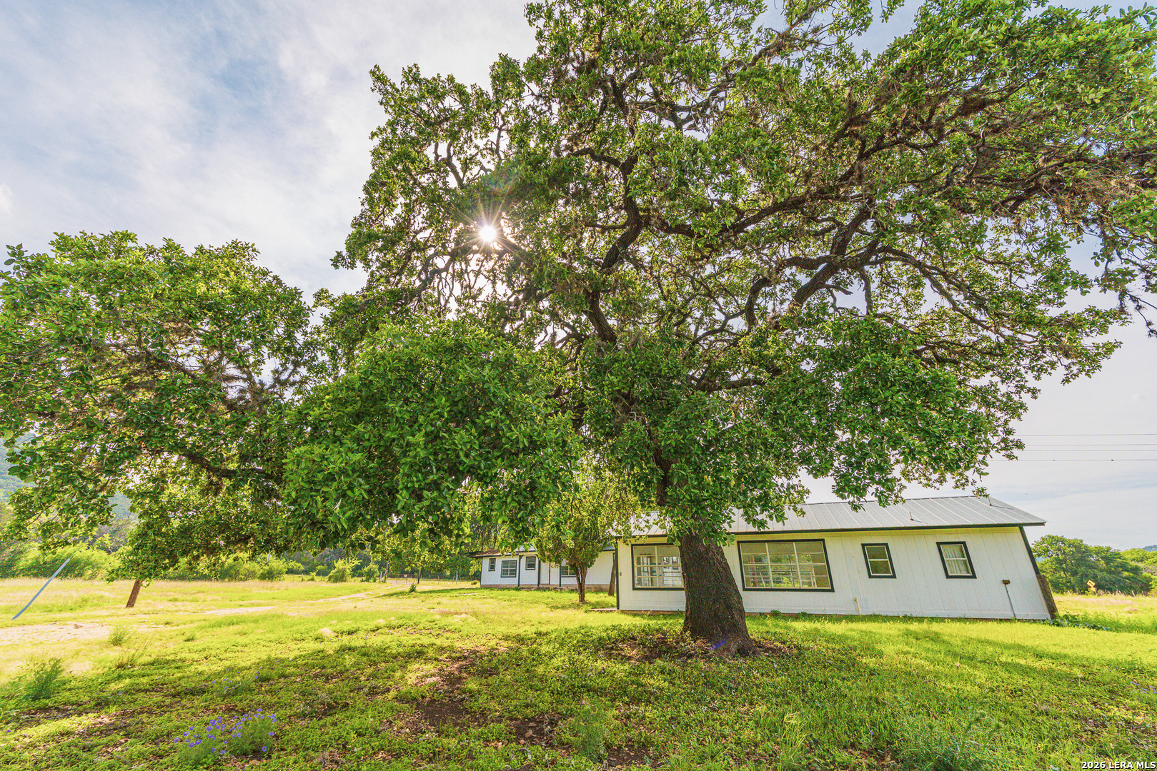 0 Rm 336 Leakey, TX 78873 - Photo 13 of 77