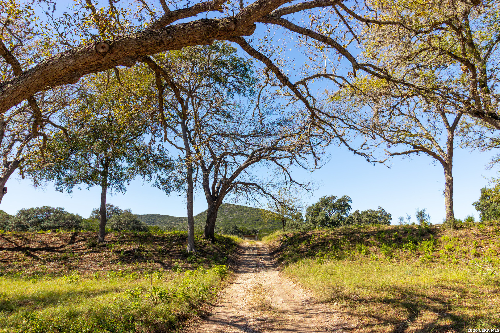0 Rm 336 Leakey, TX 78873 - Photo 15 of 93