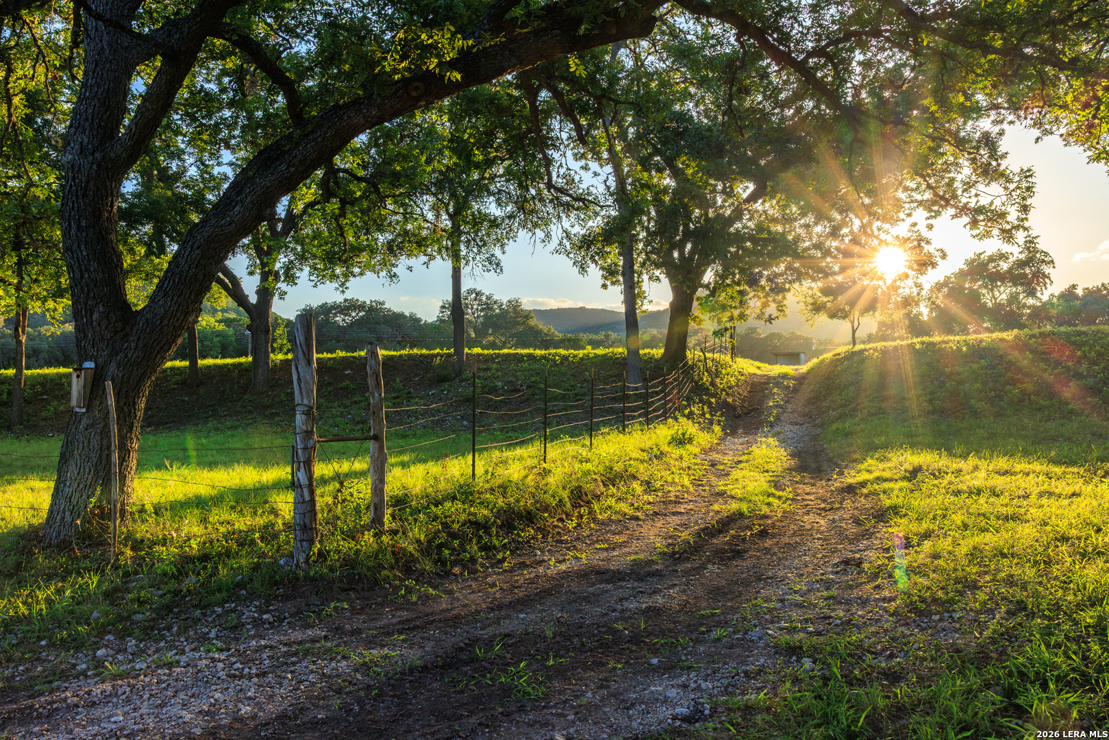 0 Rm 336 Leakey, TX 78873 - Photo 17 of 93 a view of a yard with a tree