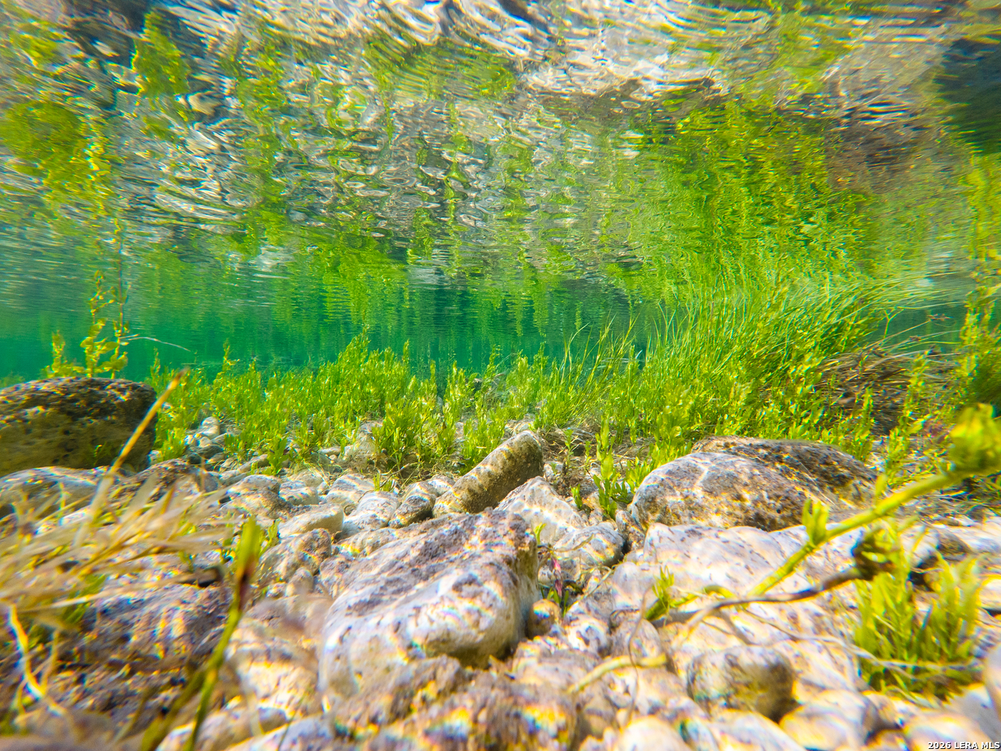 0 Rm 336 Leakey, TX 78873 - Photo 18 of 93 a backyard of a house with lots of green space and garden