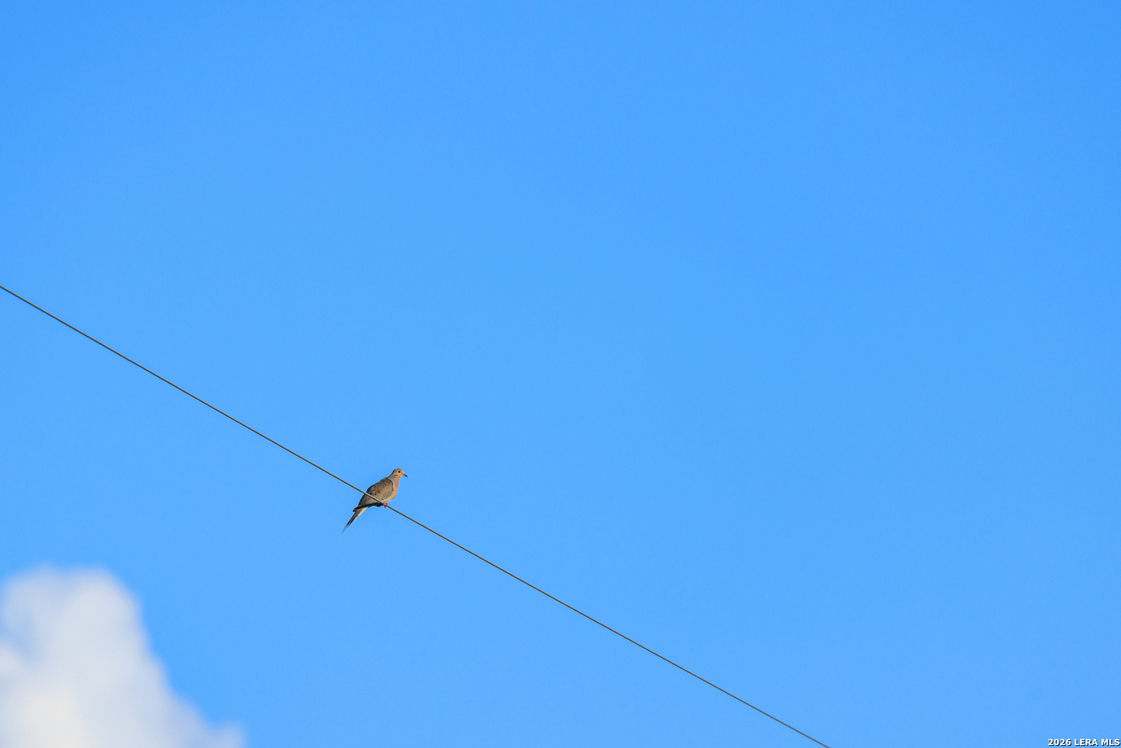 0 Rm 336 Leakey, TX 78873 - Photo 20 of 93 a view of a small space