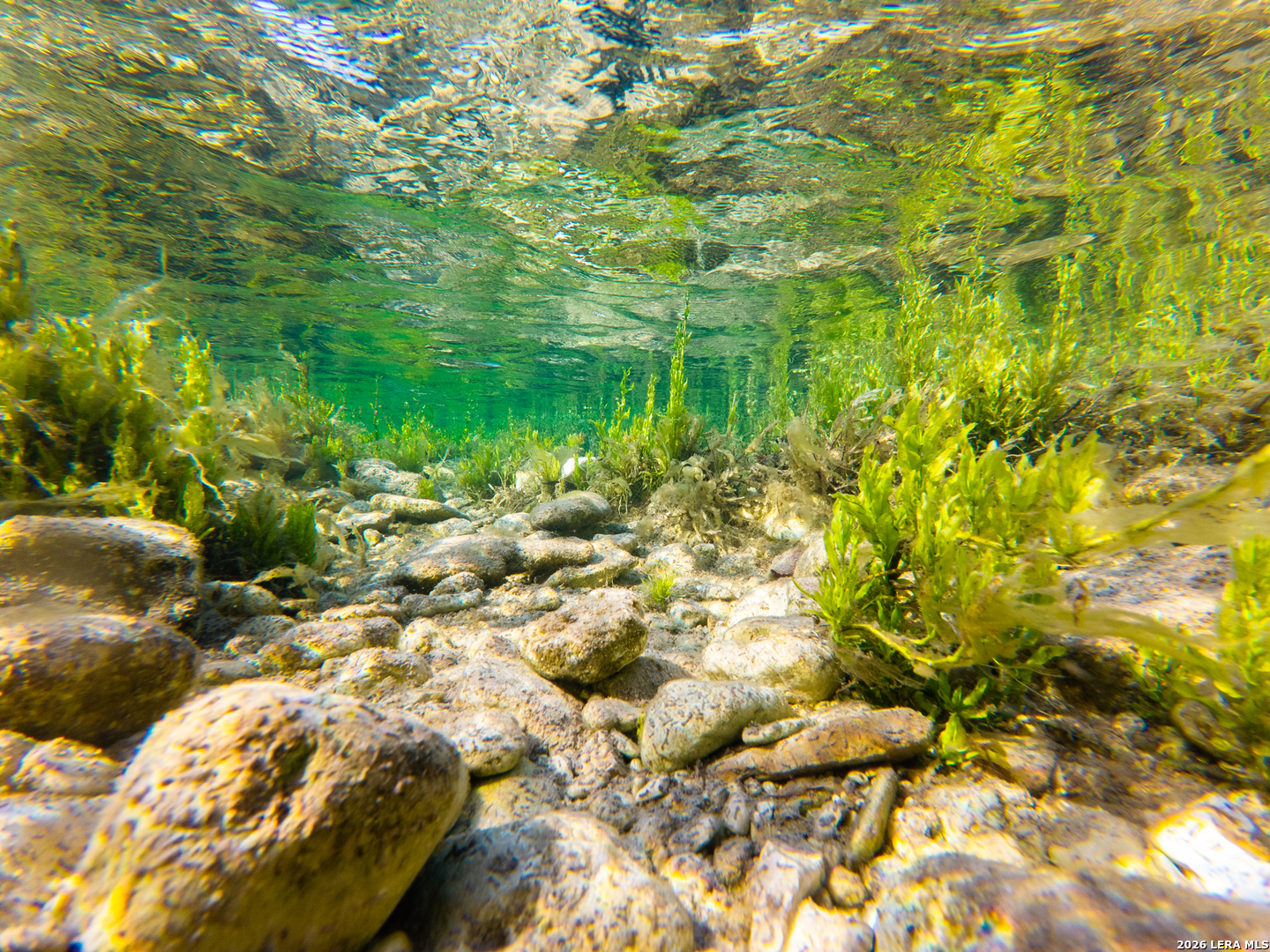 0 Rm 336 Leakey, TX 78873 - Photo 2 of 93