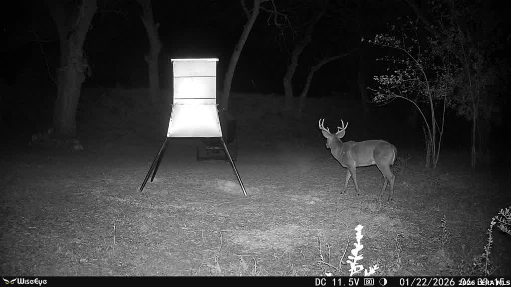 0 Rm 336 Leakey, TX 78873 - Photo 22 of 77 a backyard of a house with table and chairs
