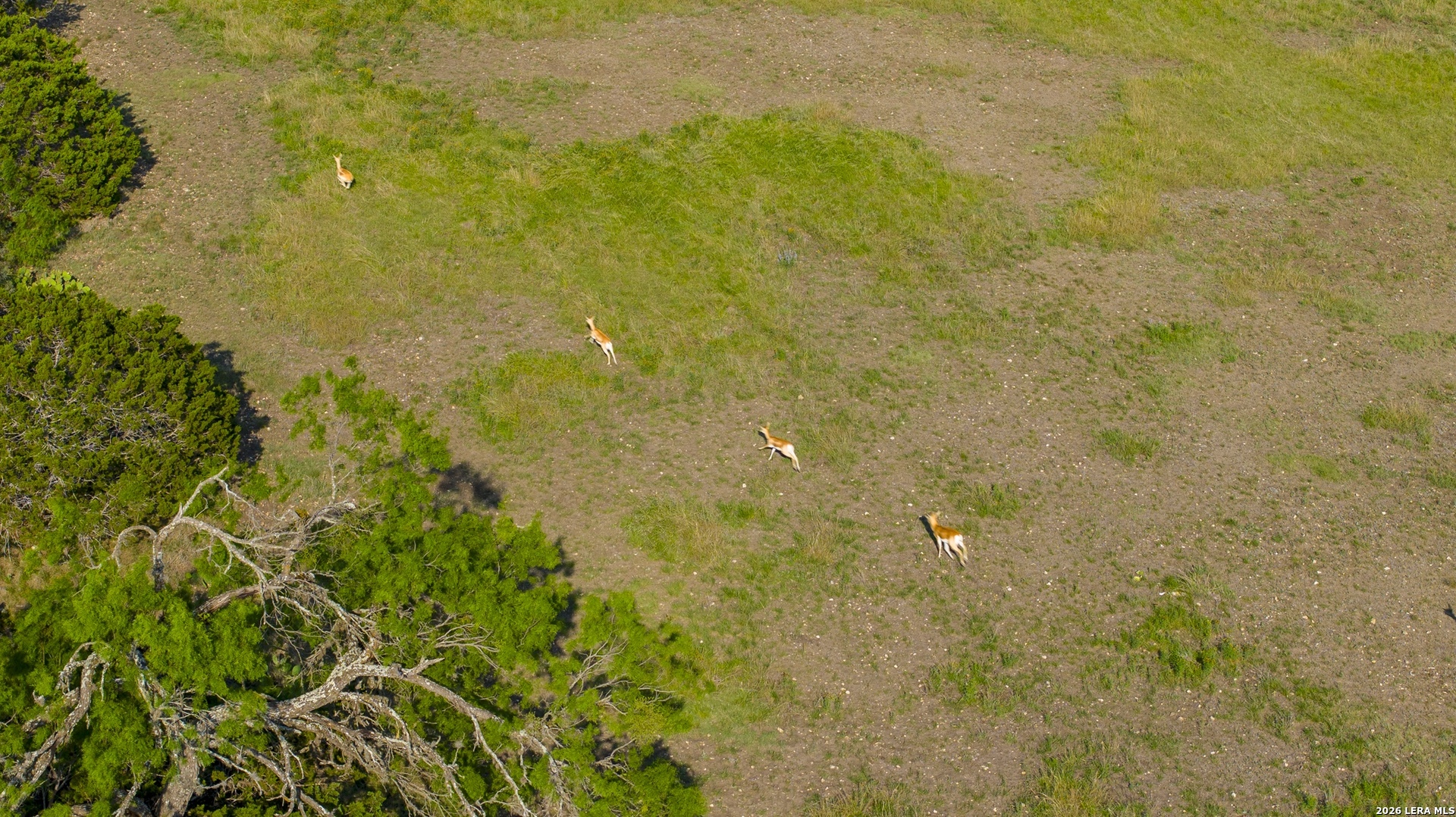 0 Rm 336 Leakey, TX 78873 - Photo 23 of 93