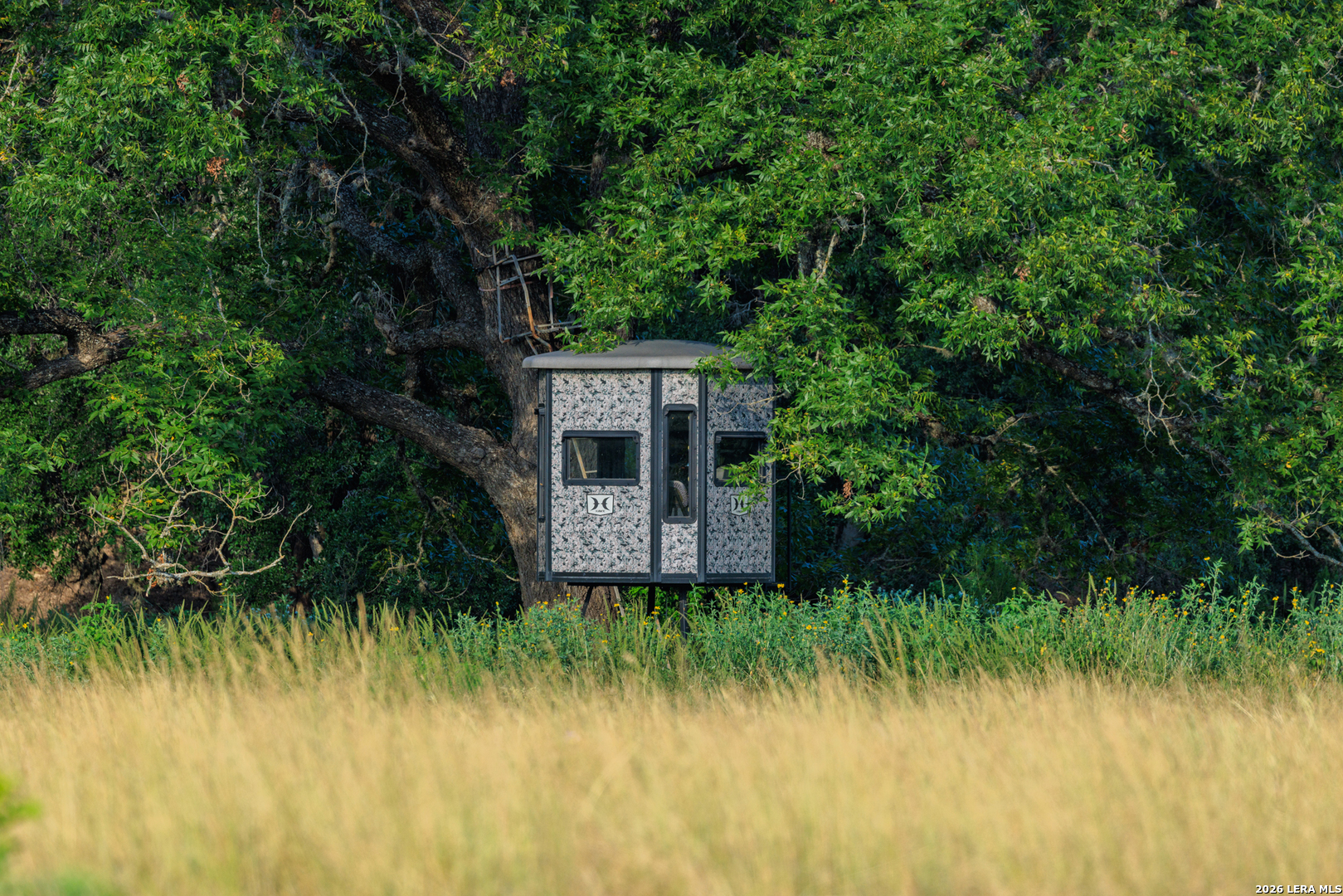 0 Rm 336 Leakey, TX 78873 - Photo 29 of 93 a view of a house in a forest