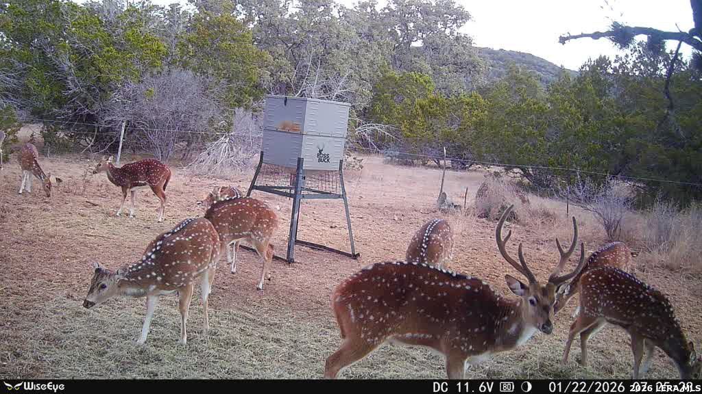 0 Rm 336 Leakey, TX 78873 - Photo 34 of 77