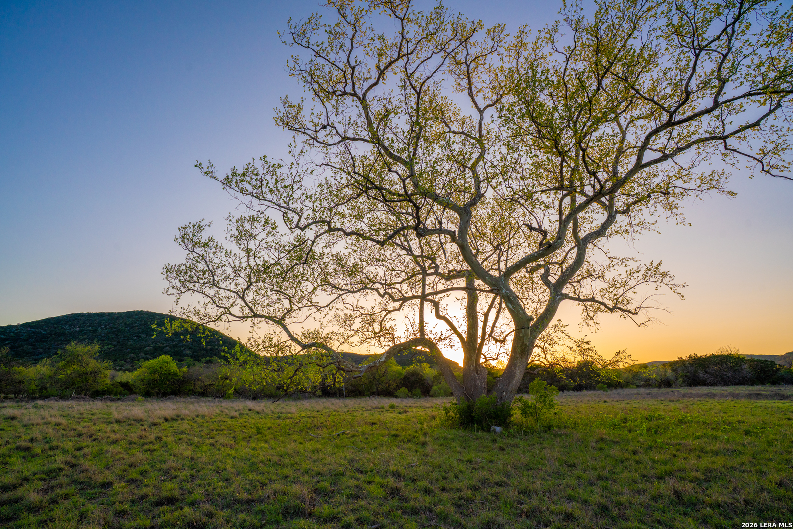 0 Rm 336 Leakey, TX 78873 - Photo 36 of 93