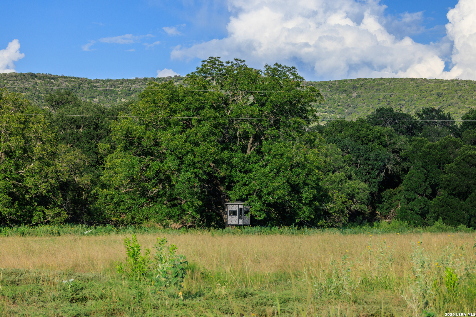 0 Rm 336 Leakey, TX 78873 - Photo 37 of 77