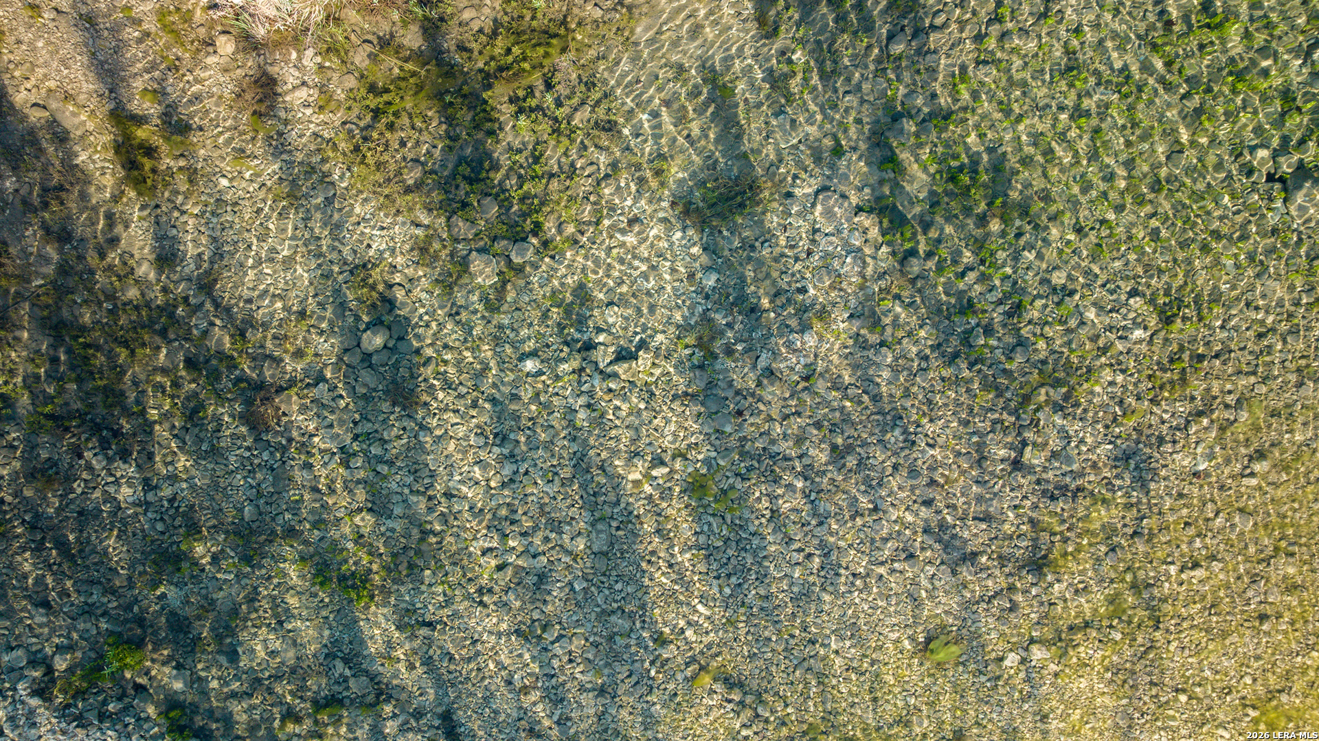 0 Rm 336 Leakey, TX 78873 - Photo 43 of 93 a close up of a tree