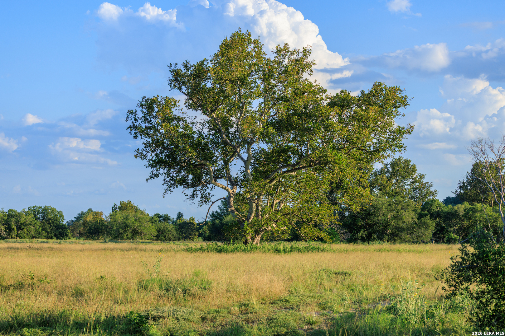 0 Rm 336 Leakey, TX 78873 - Photo 48 of 93