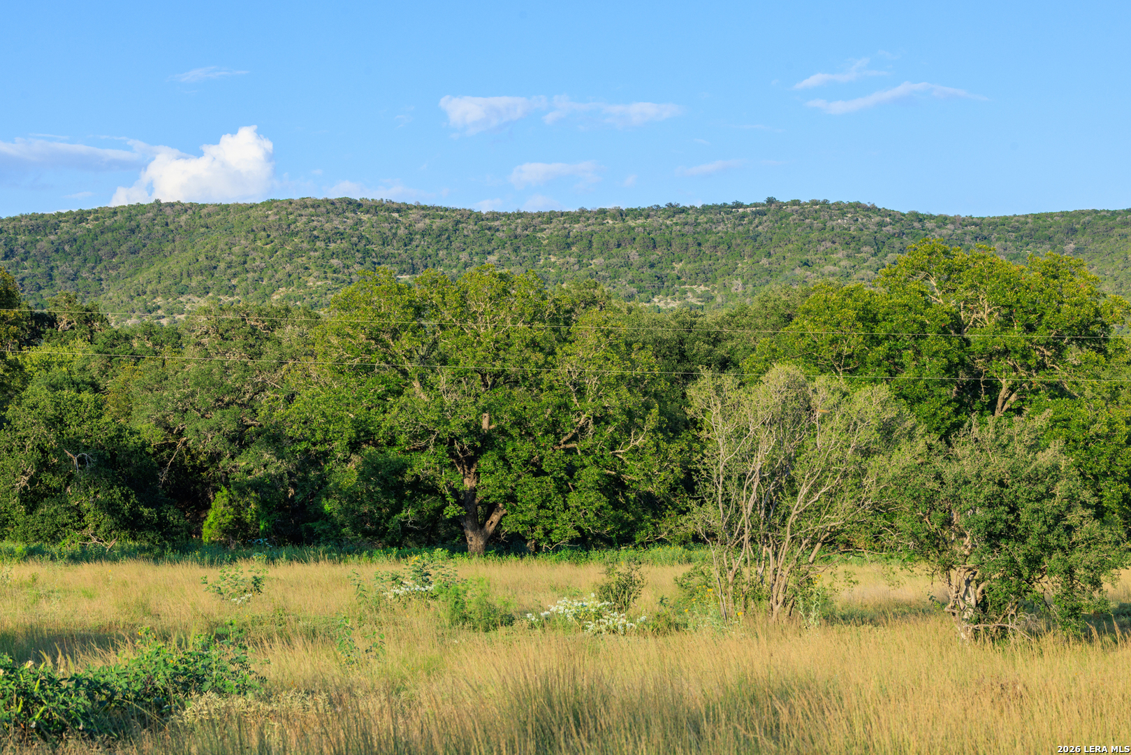 0 Rm 336 Leakey, TX 78873 - Photo 50 of 93 a view of lake and green space