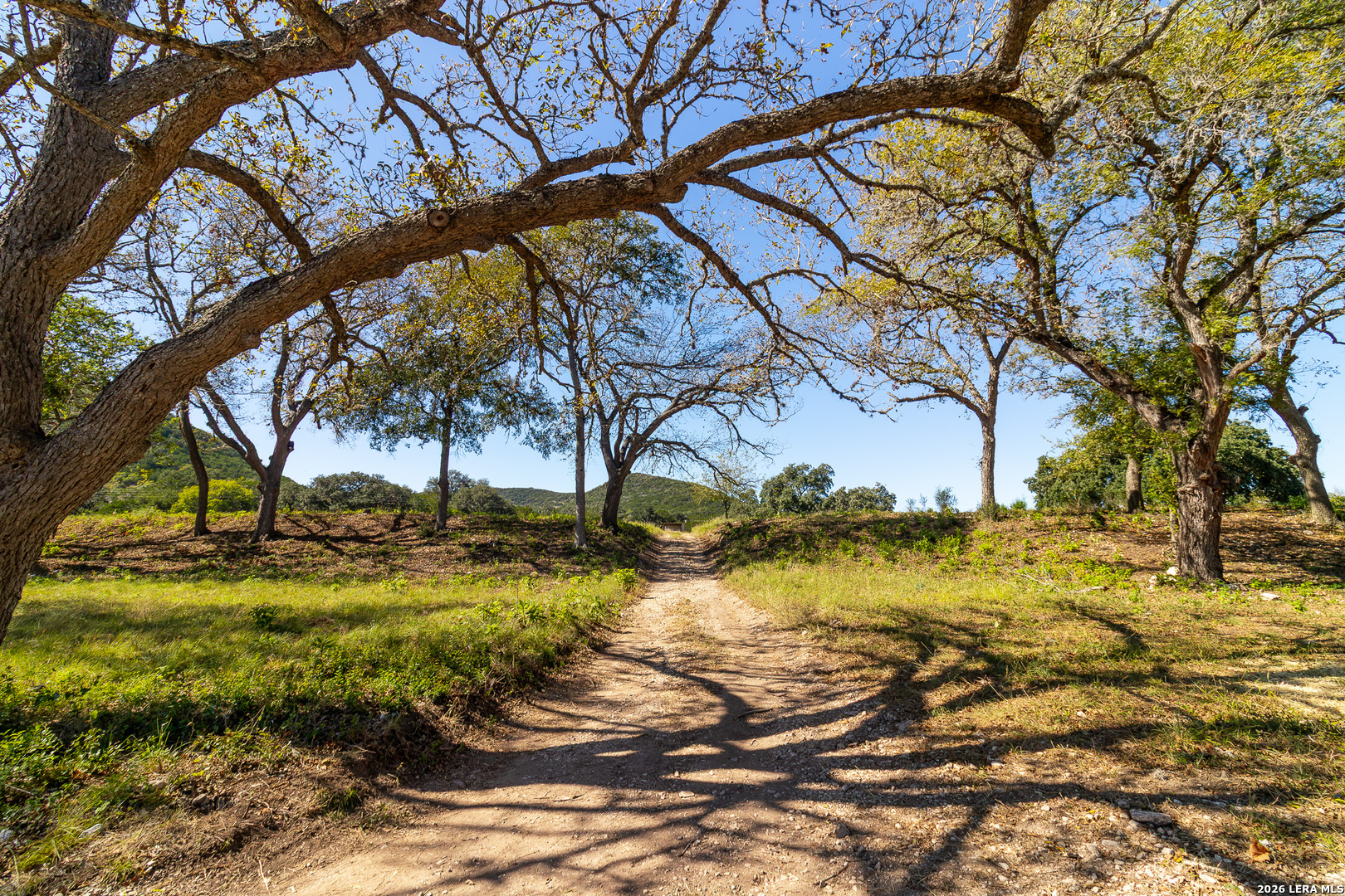 0 Rm 336 Leakey, TX 78873 - Photo 55 of 77 a view of a yard with a tree