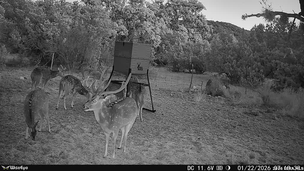 0 Rm 336 Leakey, TX 78873 - Photo 69 of 77
