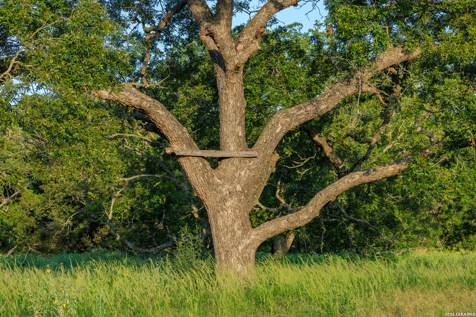 0 Rm 336 Leakey, TX 78873 - Photo 74 of 93