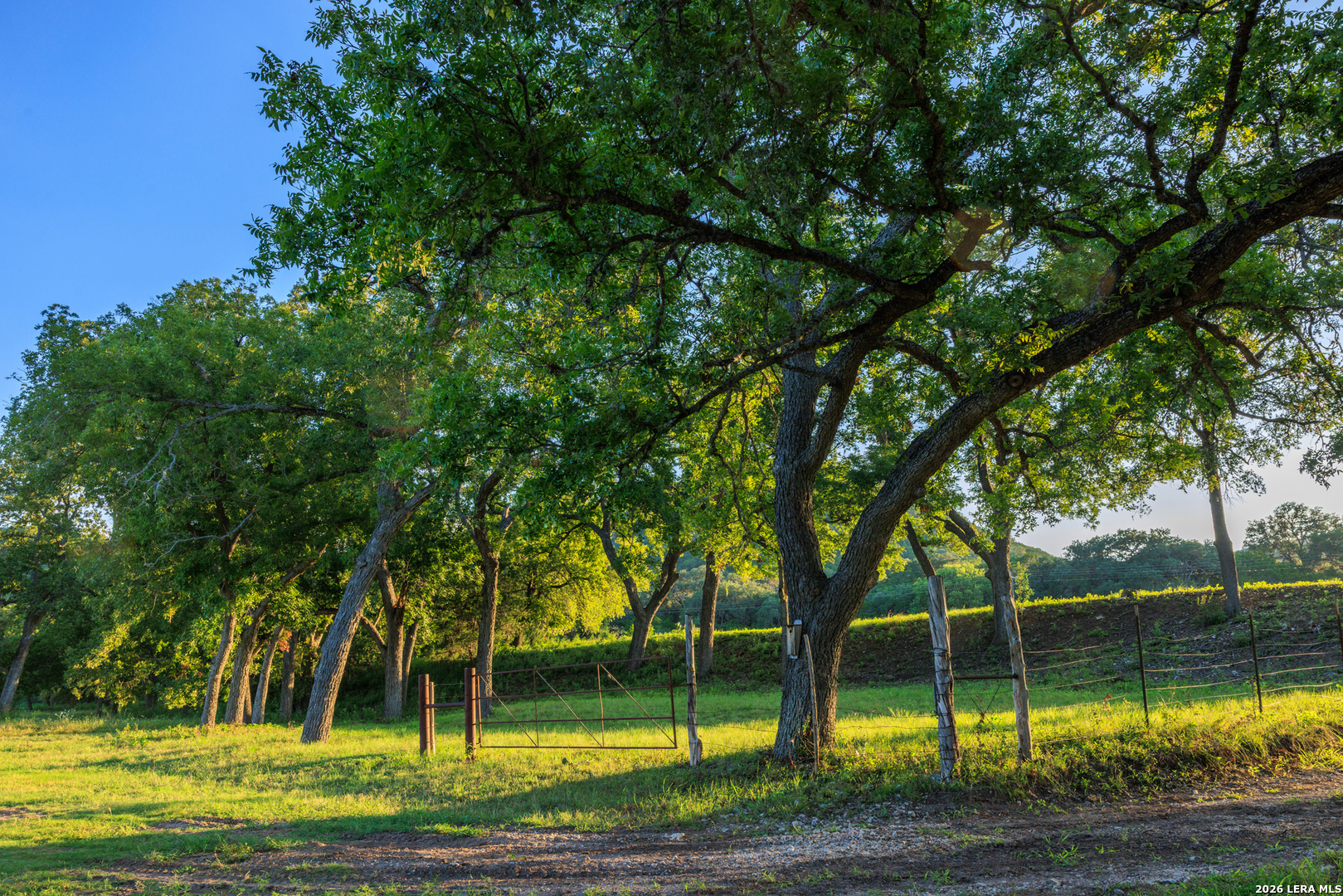 0 Rm 336 Leakey, TX 78873 - Photo 75 of 93 a view of a park with large trees