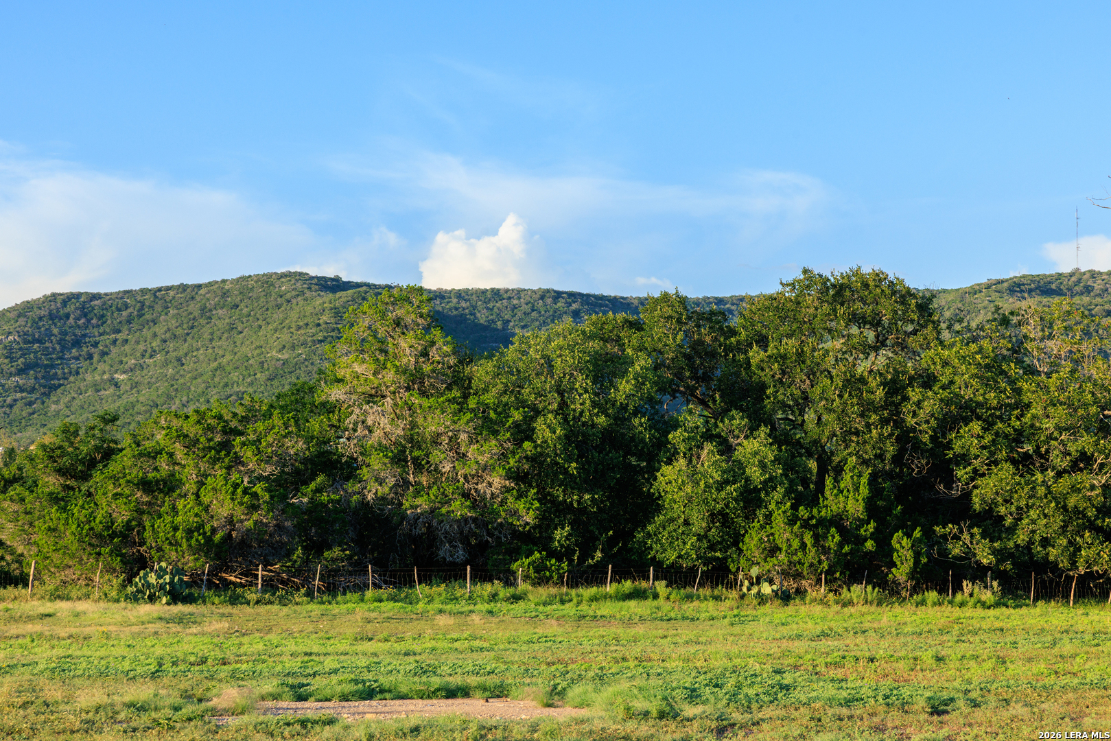 0 Rm 336 Leakey, TX 78873 - Photo 77 of 93