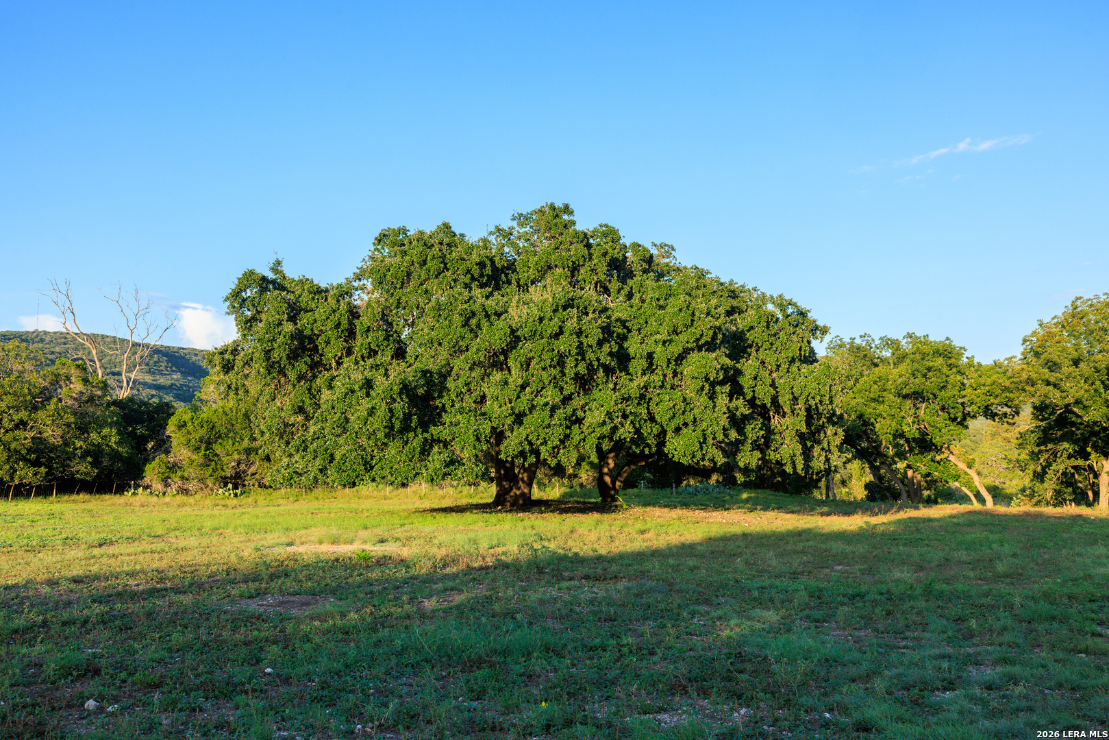 0 Rm 336 Leakey, TX 78873 - Photo 78 of 93