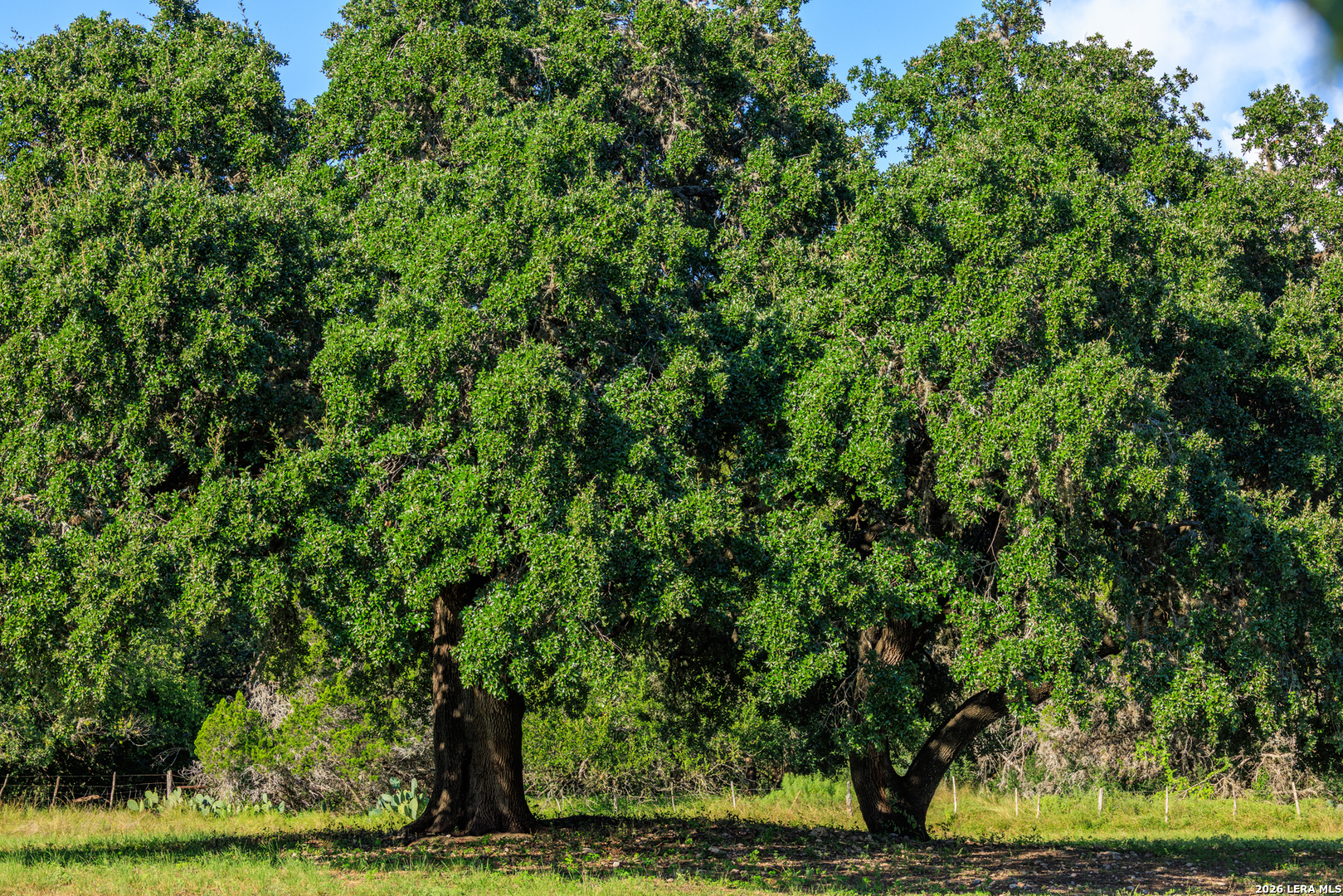 0 Rm 336 Leakey, TX 78873 - Photo 79 of 93