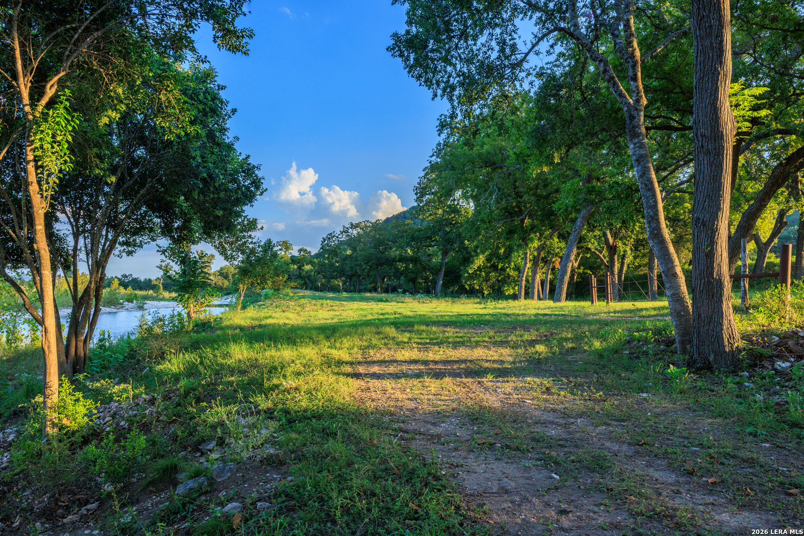 0 Rm 336 Leakey, TX 78873 - Photo 8 of 93 a view of a yard with a large trees