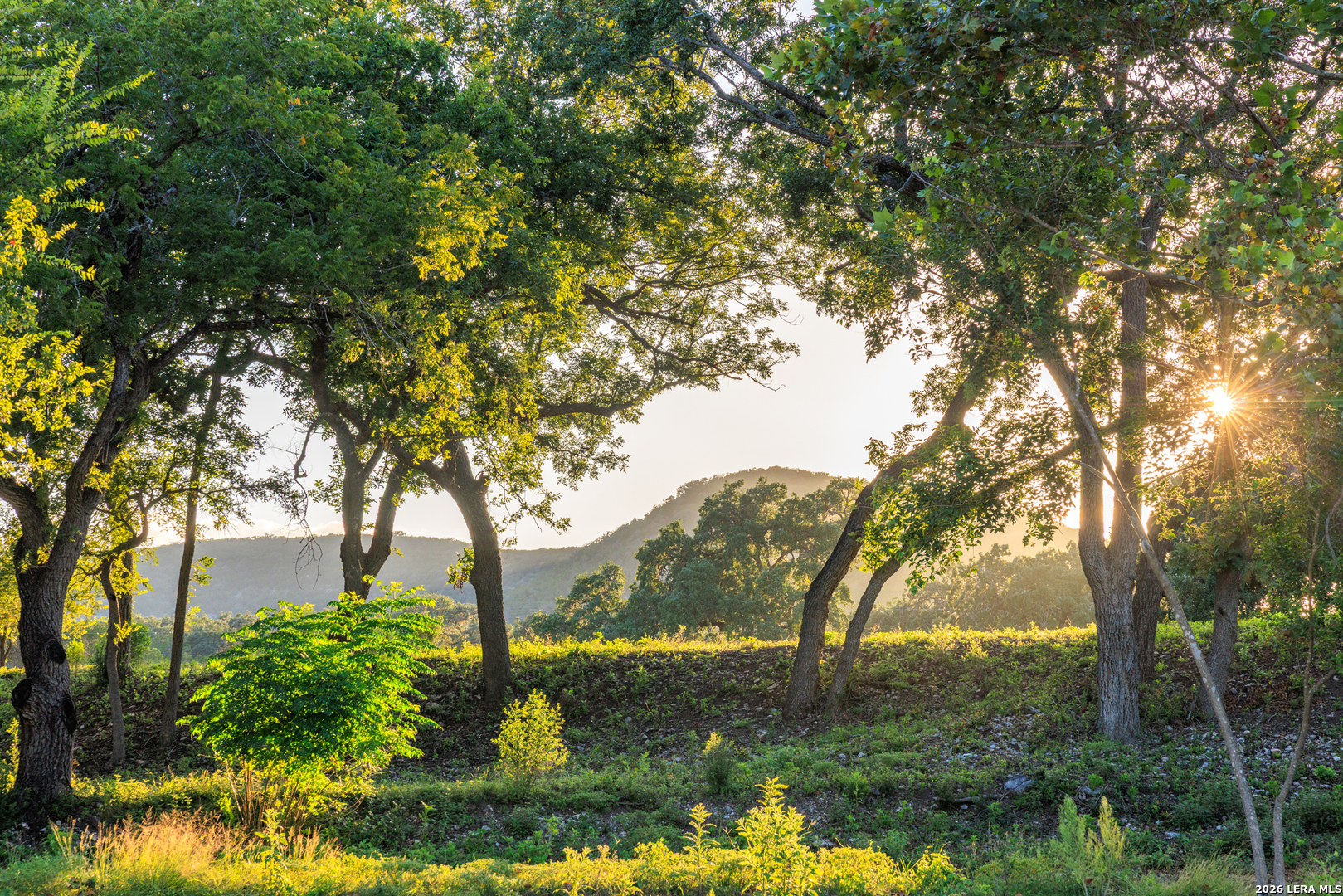 0 Rm 336 Leakey, TX 78873 - Photo 10 of 93 a yard with swimming pool and green space