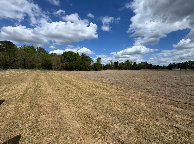3200 New Holland Road Wagener, SC 29164 - Photo 4 of 8 Gallery Image 4