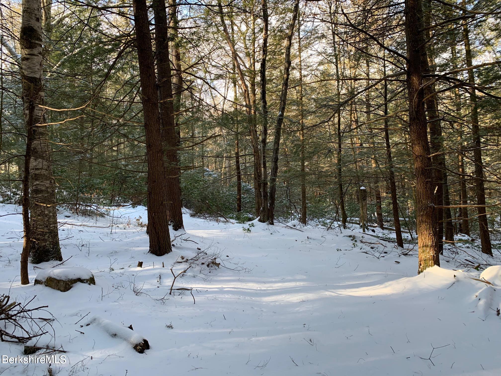 B Main Road Monterey, MA 01245 - Photo 5 of 6 a view of lake with trees