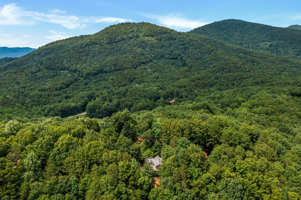 618 Laurel Ridge Drive Ellijay, GA 30536 - Photo 44 of 50 Gallery Image 44