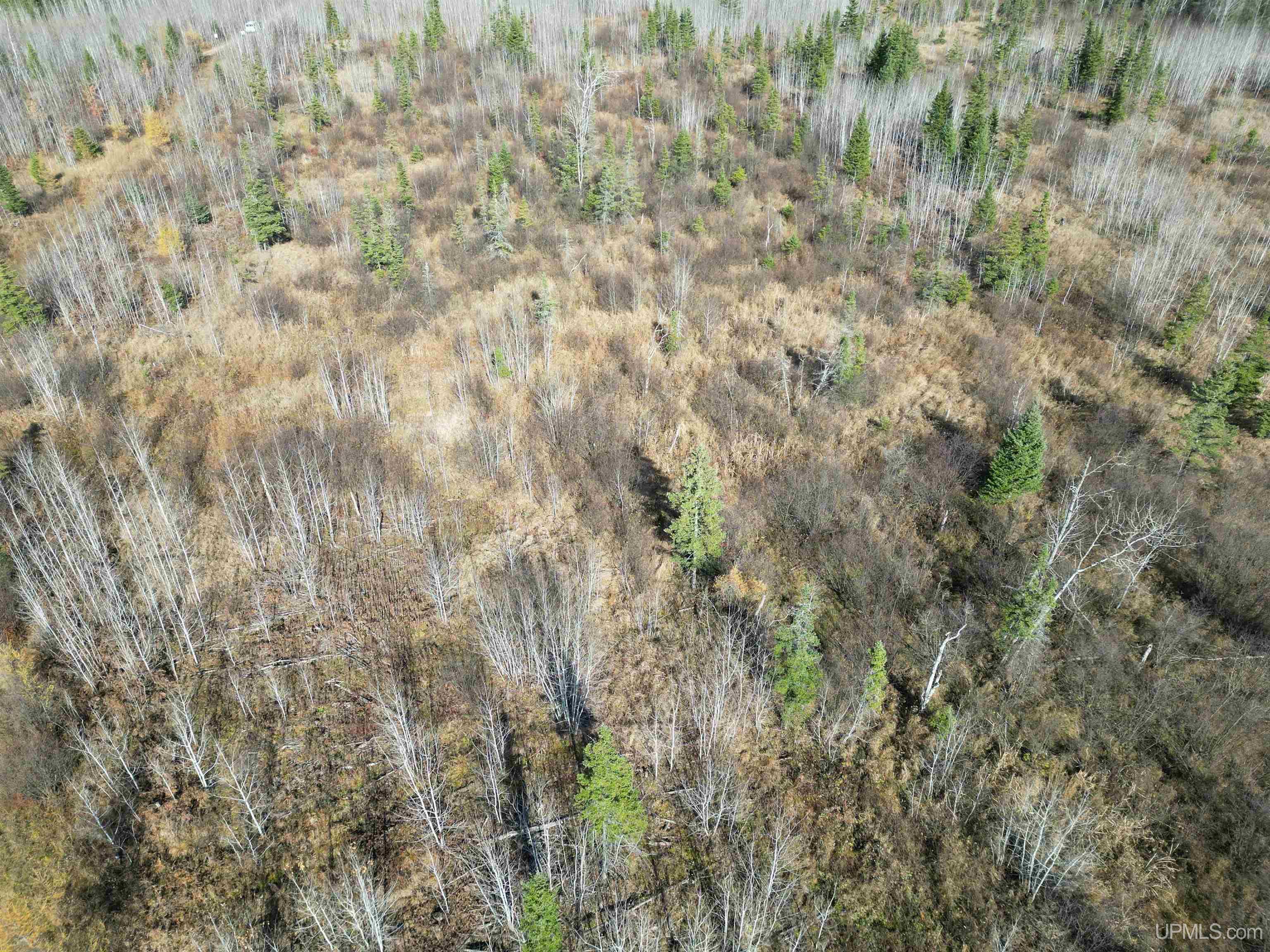 27.5 Rd 28 Acres Trail Gladstone, MI 49837 - Photo 6 of 24