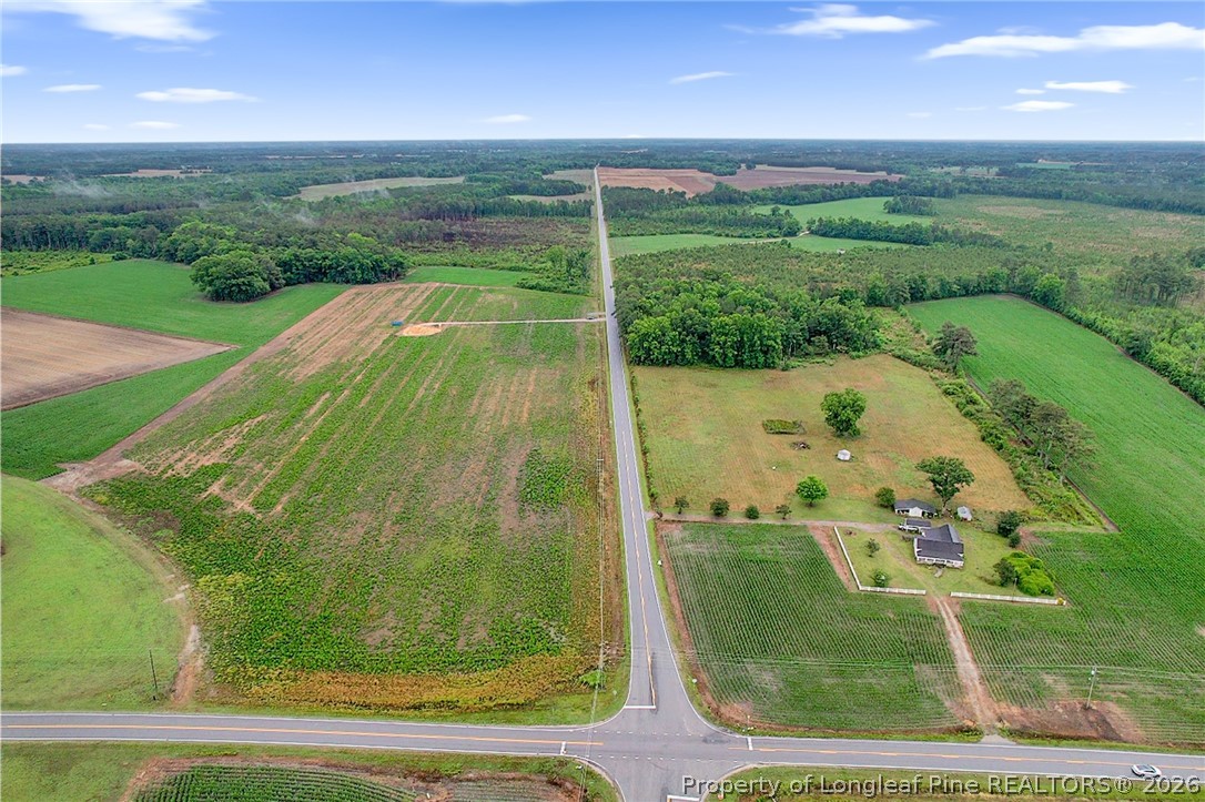 Lot 4 Buie Philadelphus Road Red Springs, NC 28377 - Photo 6 of 11