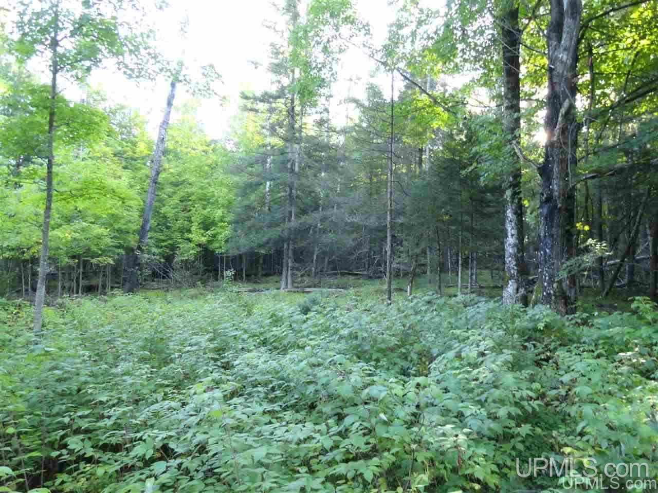 5-acres Co Rd Sa Cornell, MI 49818 - Photo 22 of 27