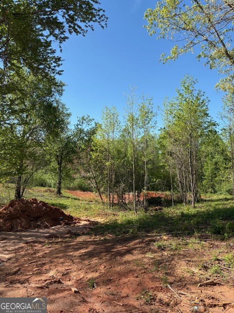 365 Hunts Rdg Drive Cleveland, GA 30528 - Photo 28 of 31