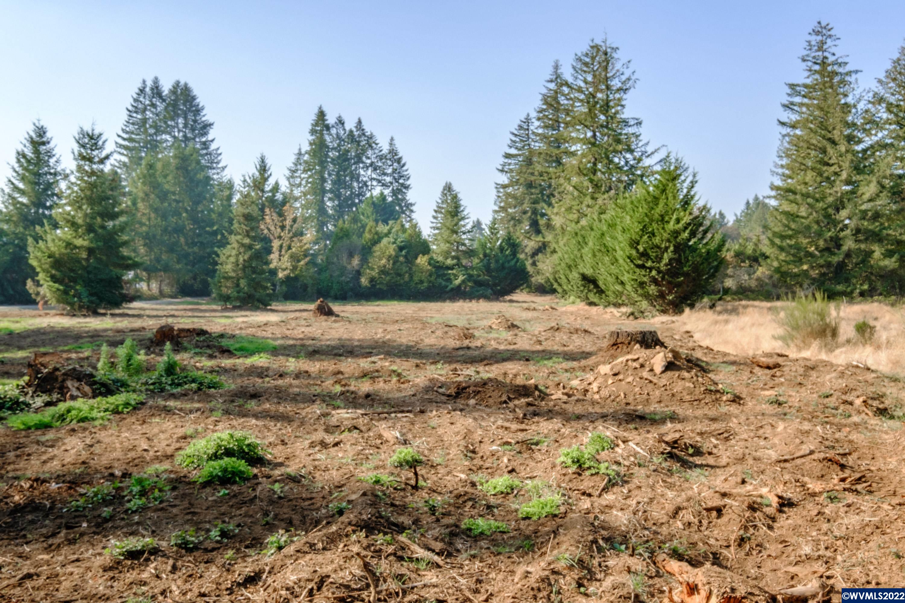 25668 Rice (parcel Road Sweet Home, OR 97386 - Photo 18 of 18