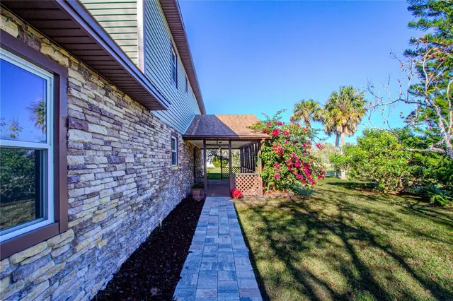 a view of a backyard with plants and a large tree