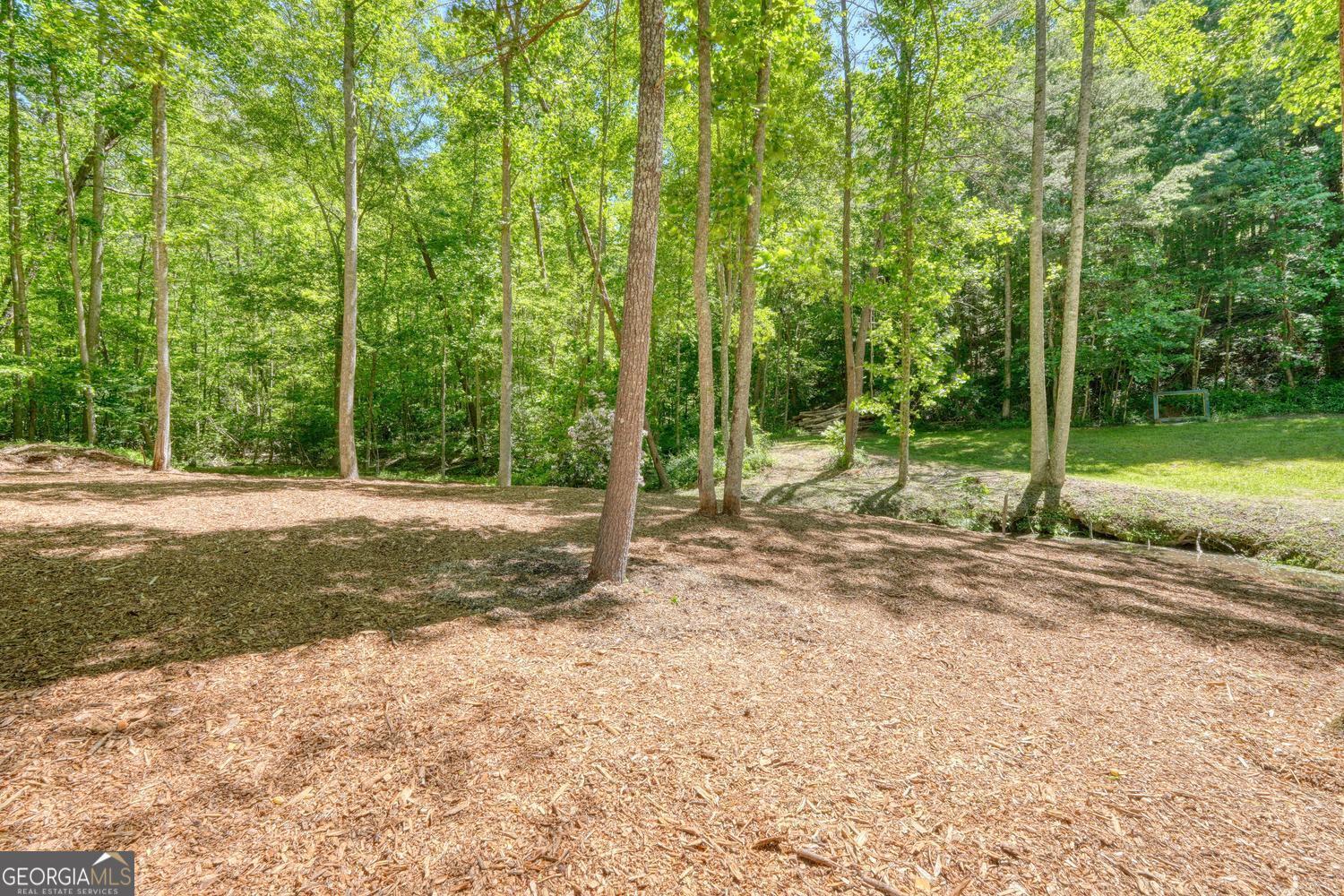 4836 Owltown Road Blairsville, GA 30512 - Photo 69 of 95