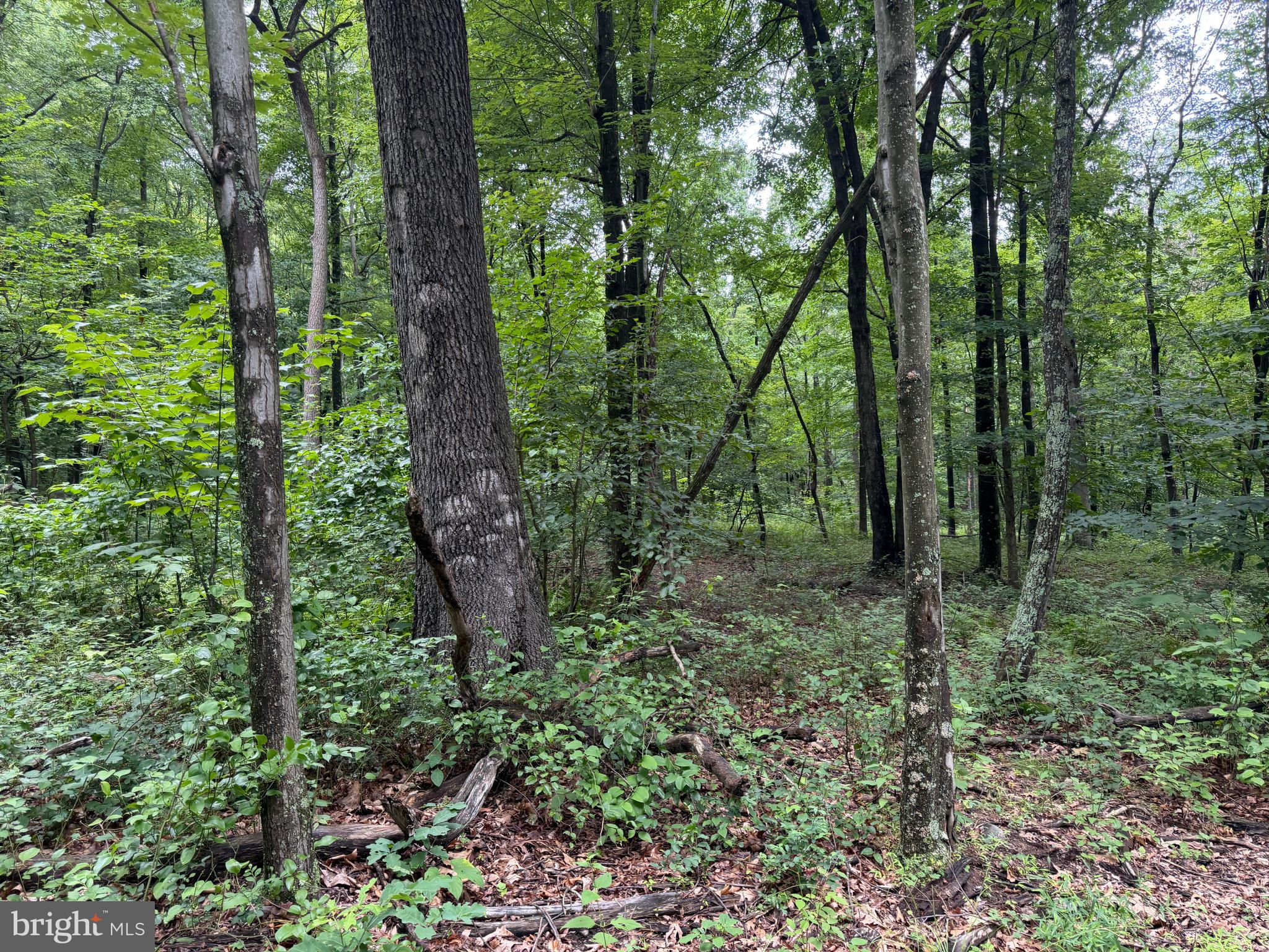 17147 Sugar Run Road Shirleysburg, PA 17260 - Photo 148 of 148