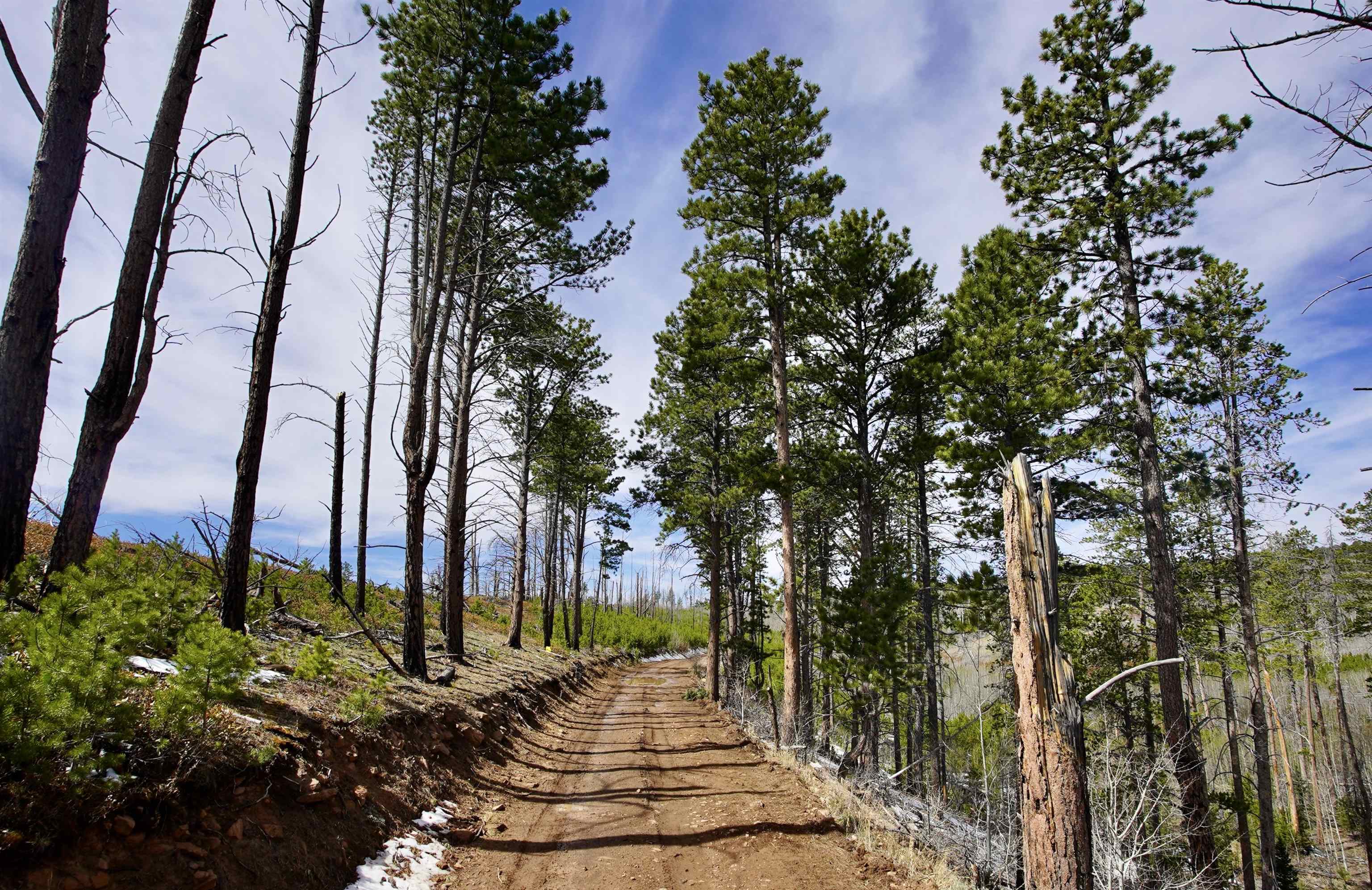 0 Ponderosa Road Casper, WY 82601 - Photo 3 of 7