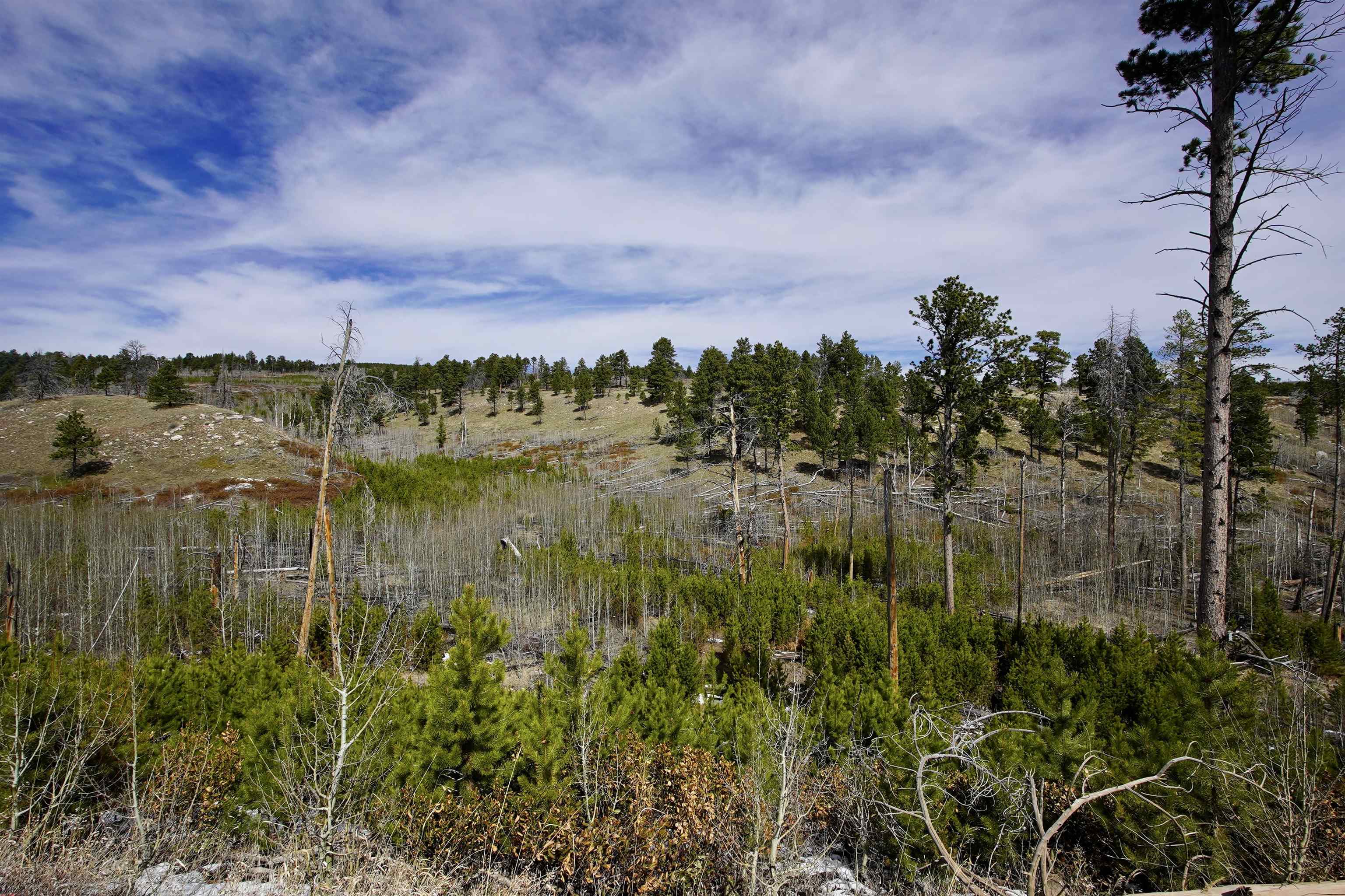 0 Ponderosa Road Casper, WY 82601 - Photo 4 of 7