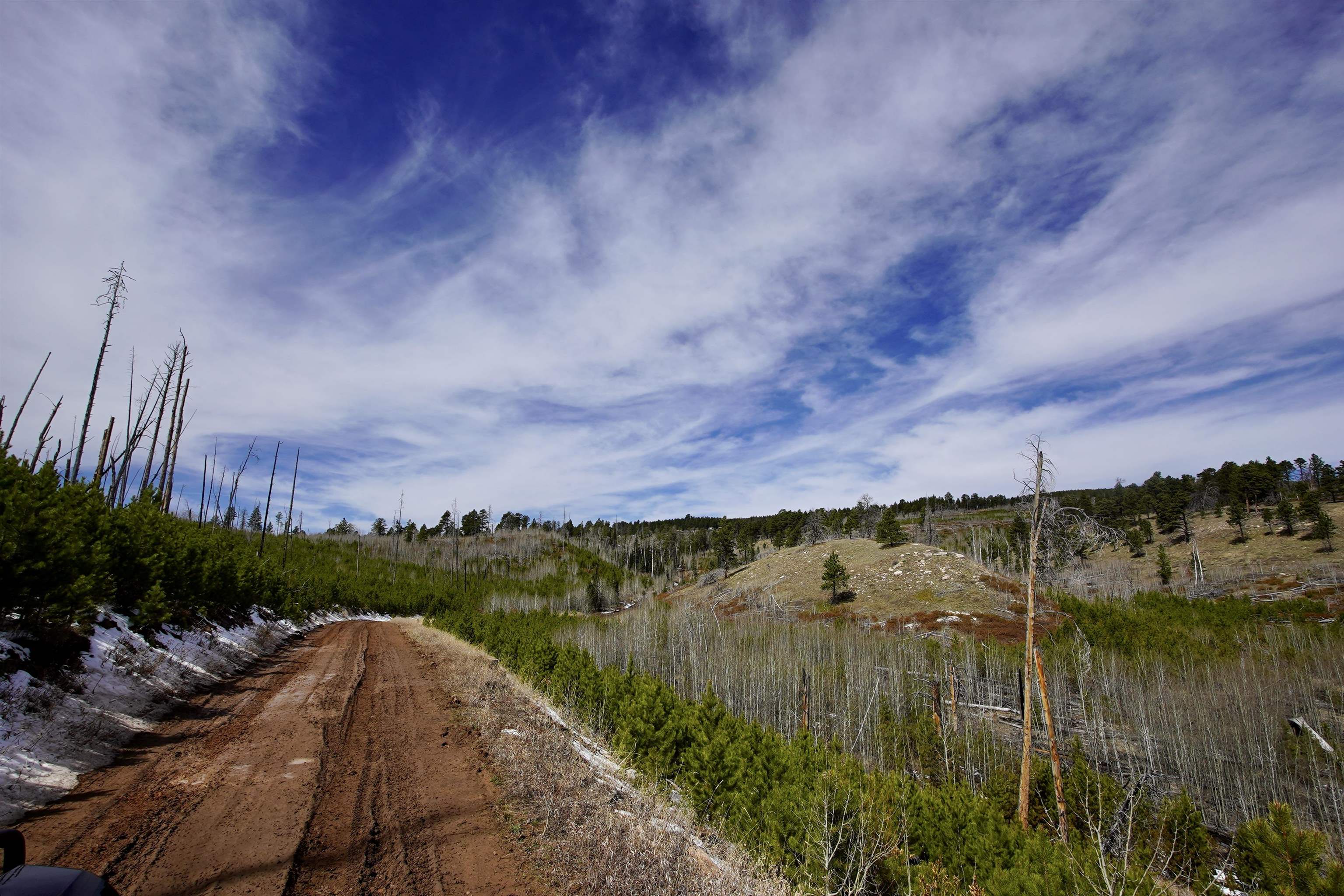 0 Ponderosa Road Casper, WY 82601 - Photo 5 of 7