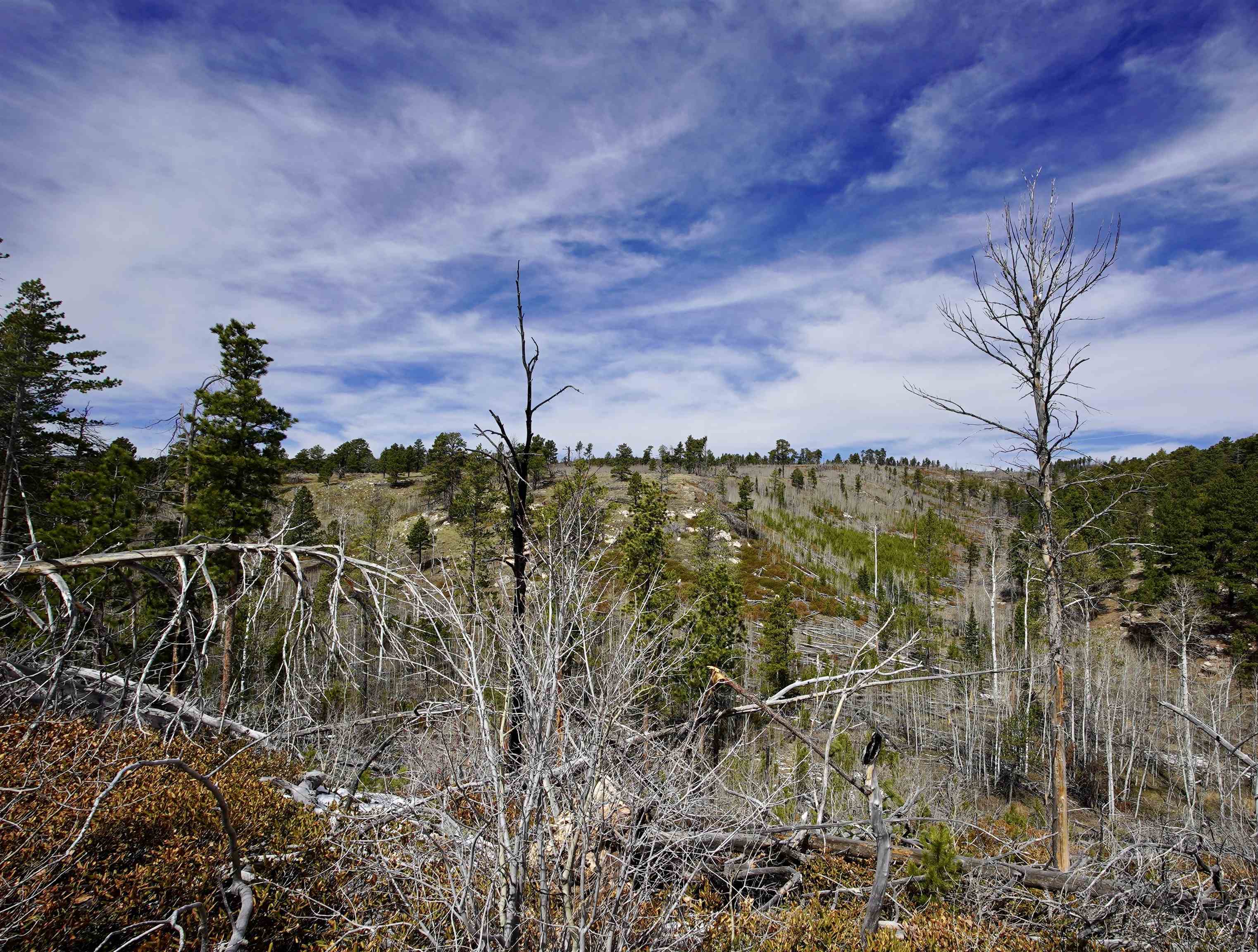 0 Ponderosa Road Casper, WY 82601 - Photo 7 of 7