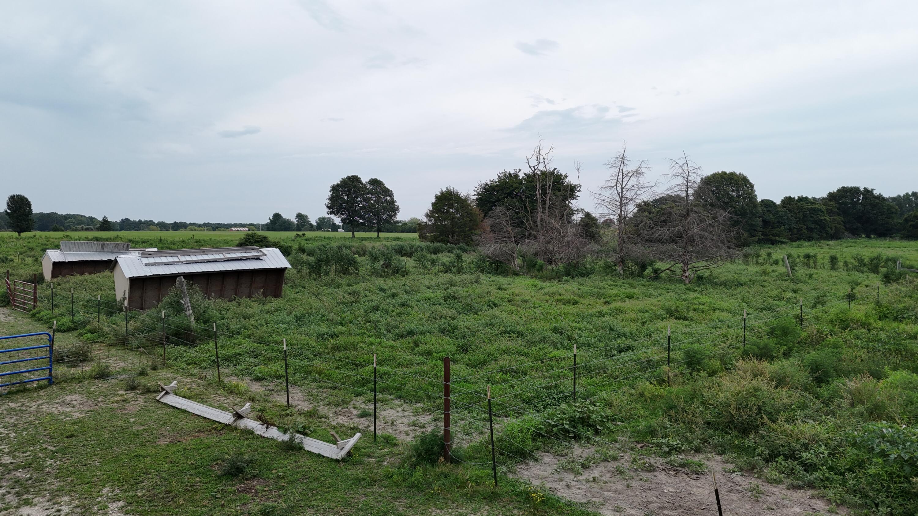 638 Centerpoint Road Seymour, MO 65746 - Photo 33 of 60 DJI_20260723161409_0261_D