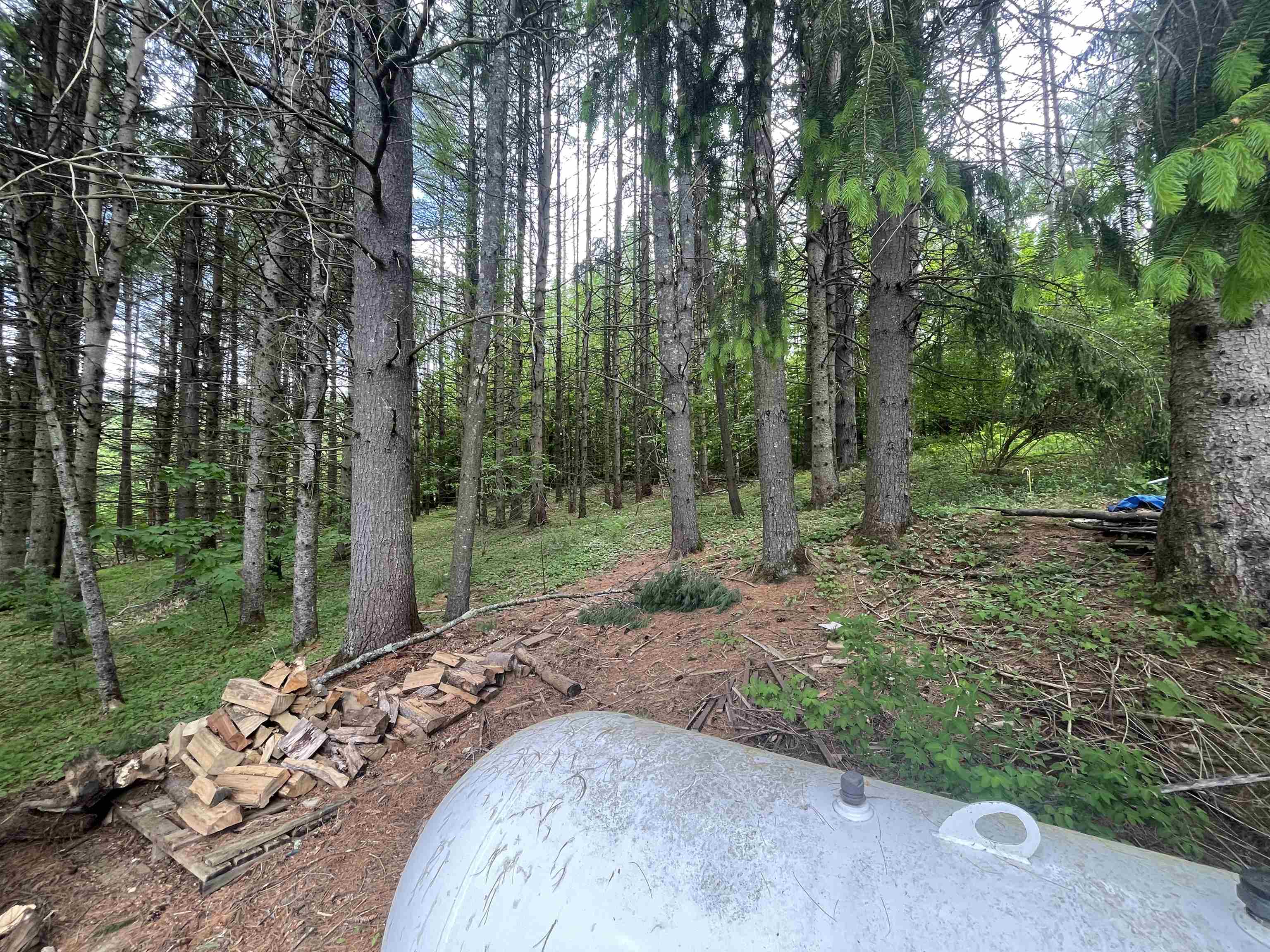 266 Notch Road Middlesex, VT 05602 - Photo 19 of 29