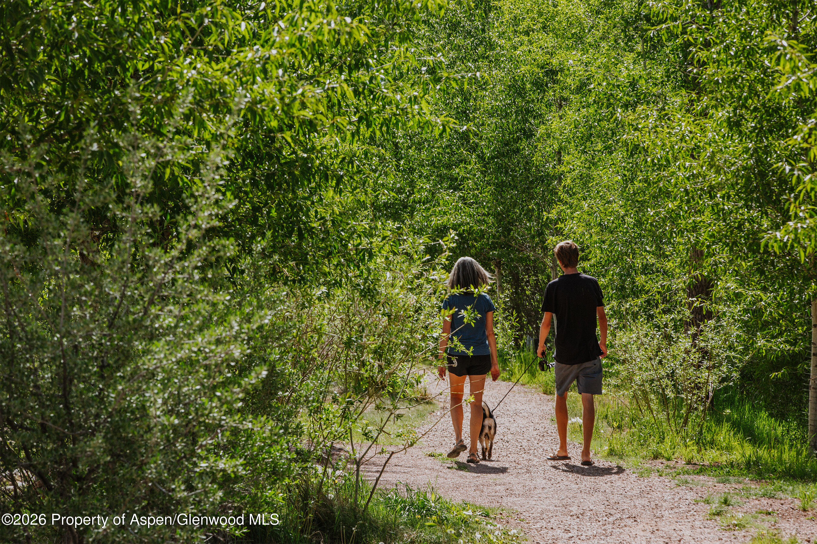 140 Basalt Center Circle, Unit 311 Basalt, CO 81621 - Photo 15 of 24 Nearby walking and biking trails