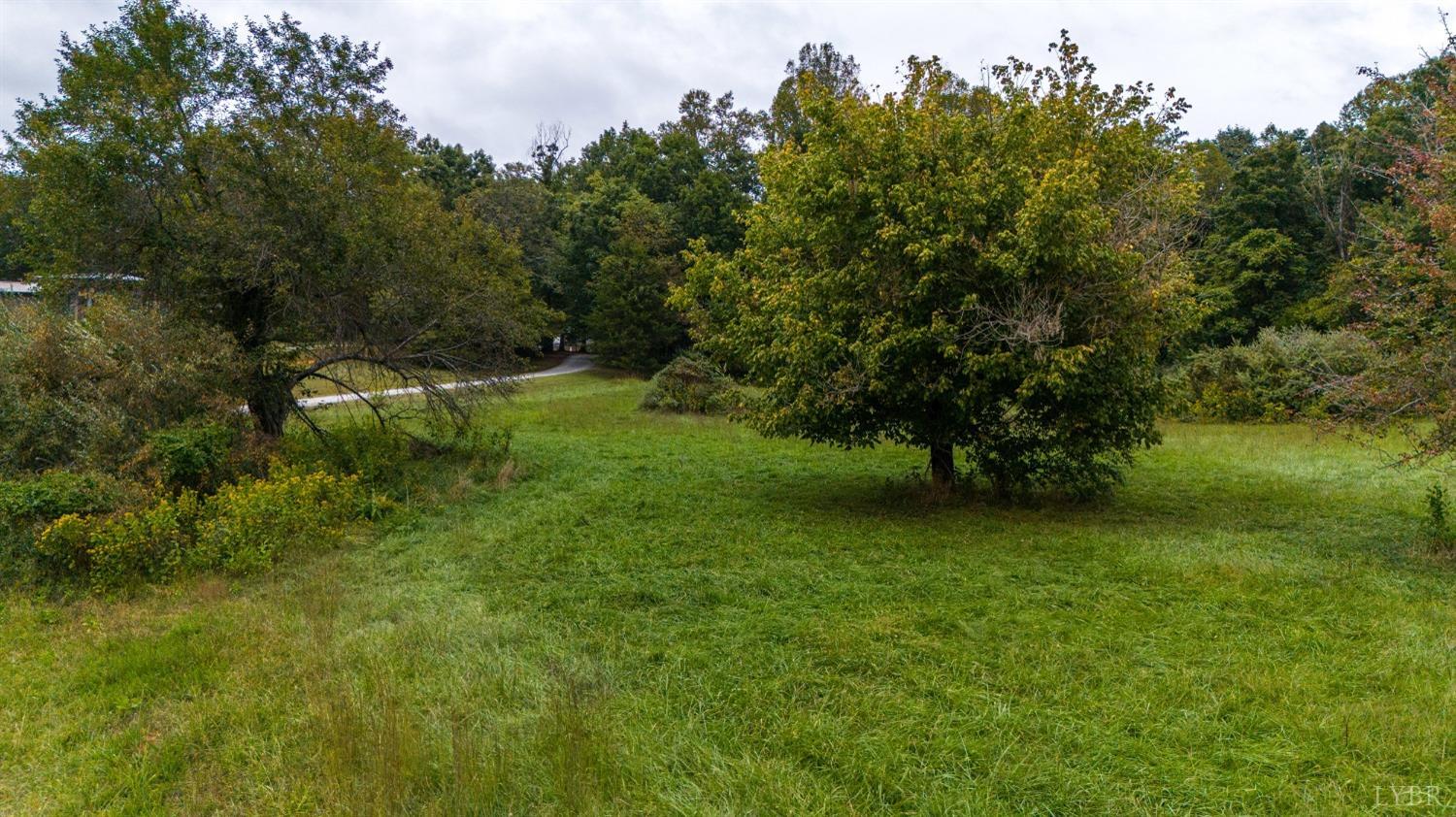 -lot 14 Deer Hollow Road Forest, VA 24551 - Photo 16 of 22