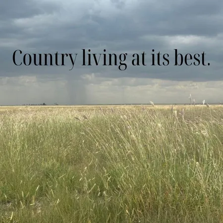 a view of the tree in a field
