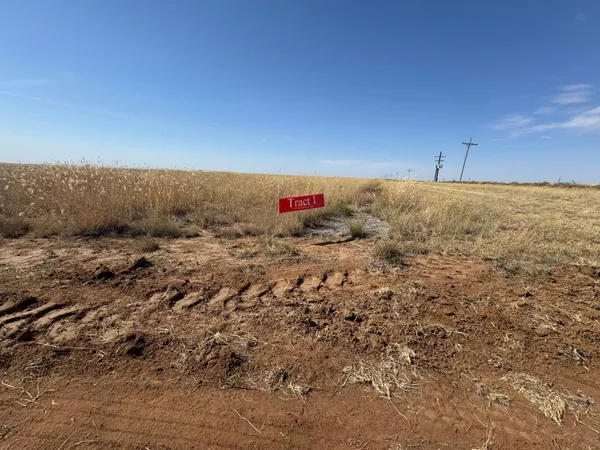 a view of a dry yard