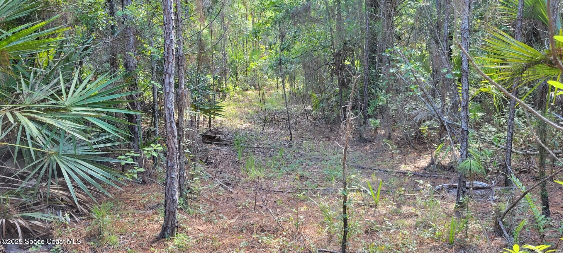 0 Mario Avenue Cocoa, FL 32926 - Photo 2 of 6 2405874 - 5