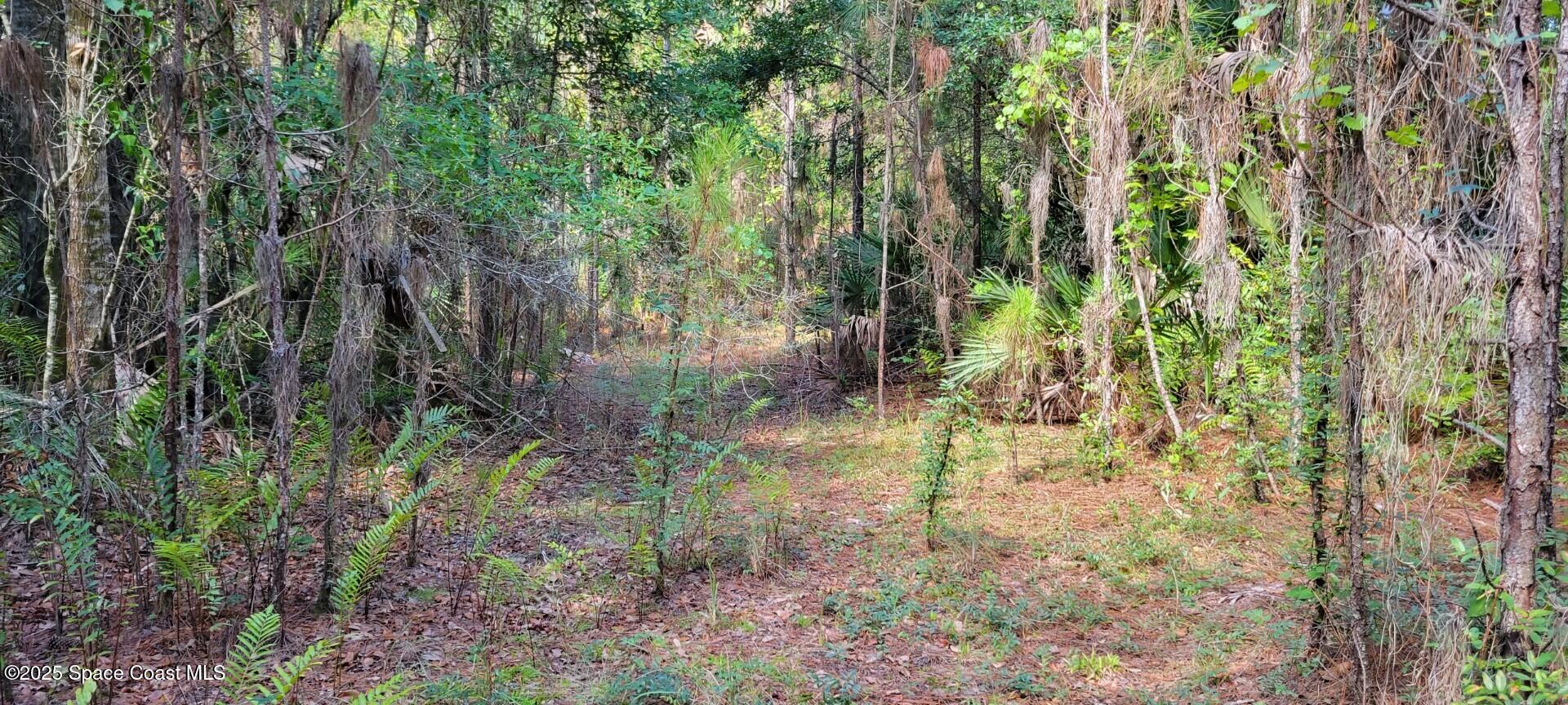 0 Mario Avenue Cocoa, FL 32926 - Photo 3 of 6 2405874 - 4