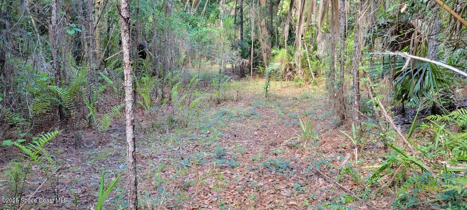 0 Mario Avenue Cocoa, FL 32926 - Photo 4 of 6 2405874 - 3